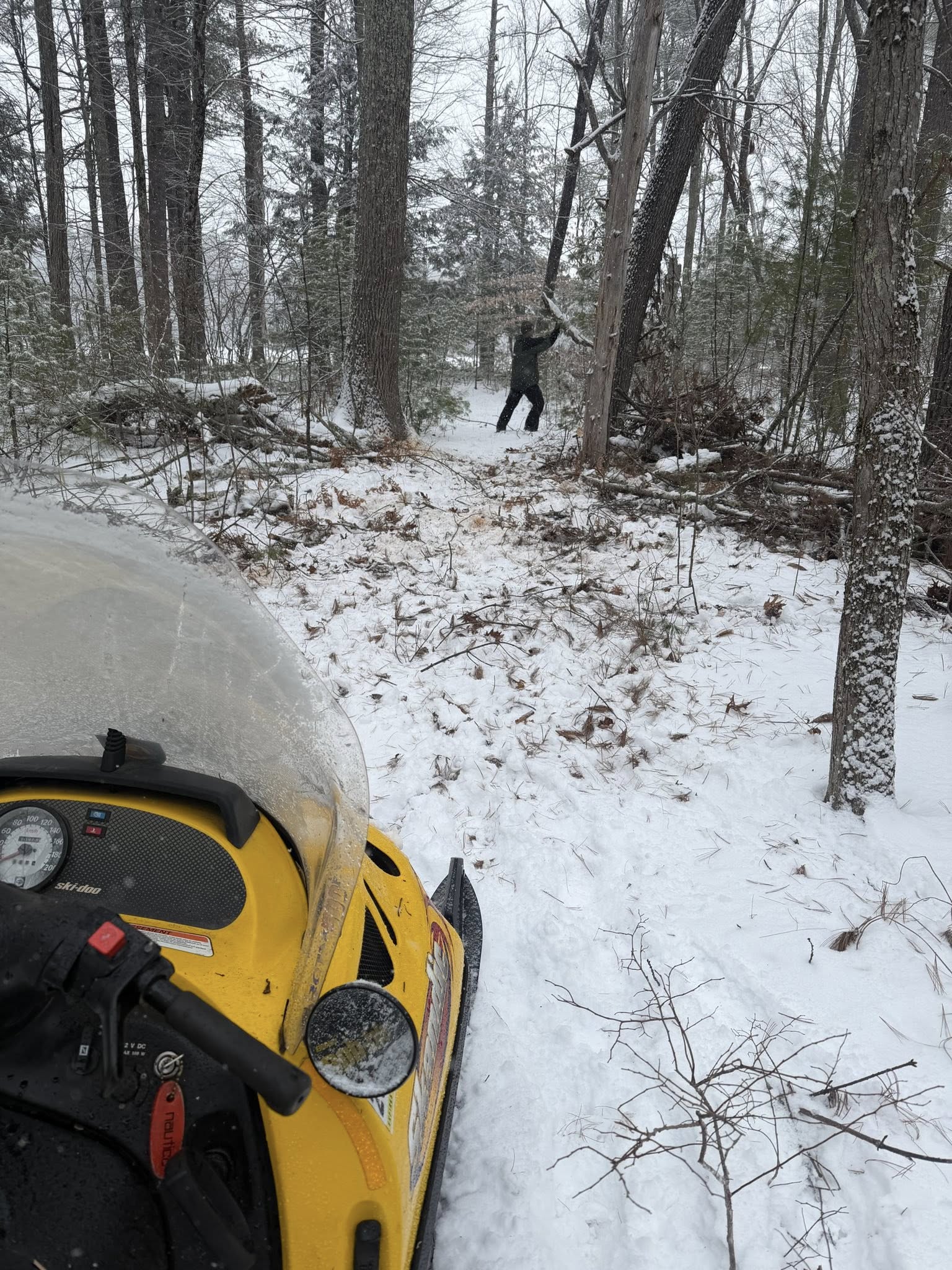 Trail grooming photo 2