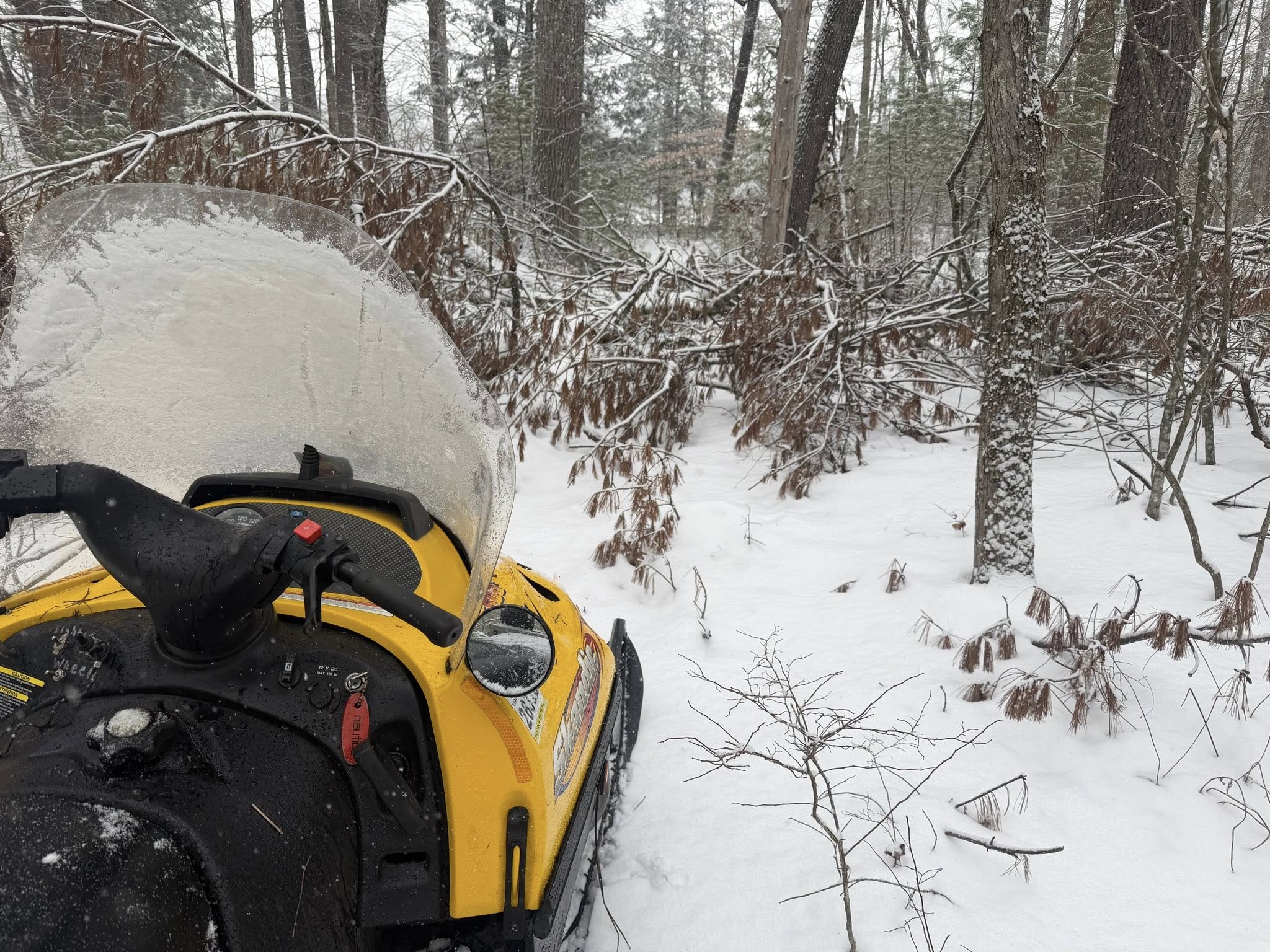 Trail grooming photo 5