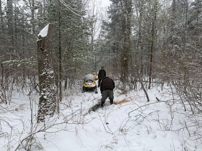 Grooming the trails
