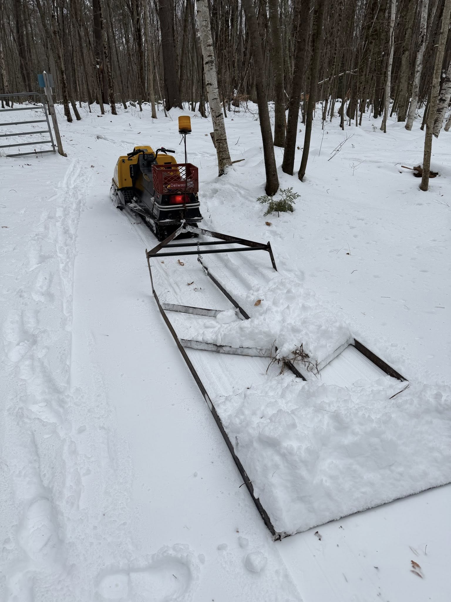 Groomer test photo 2