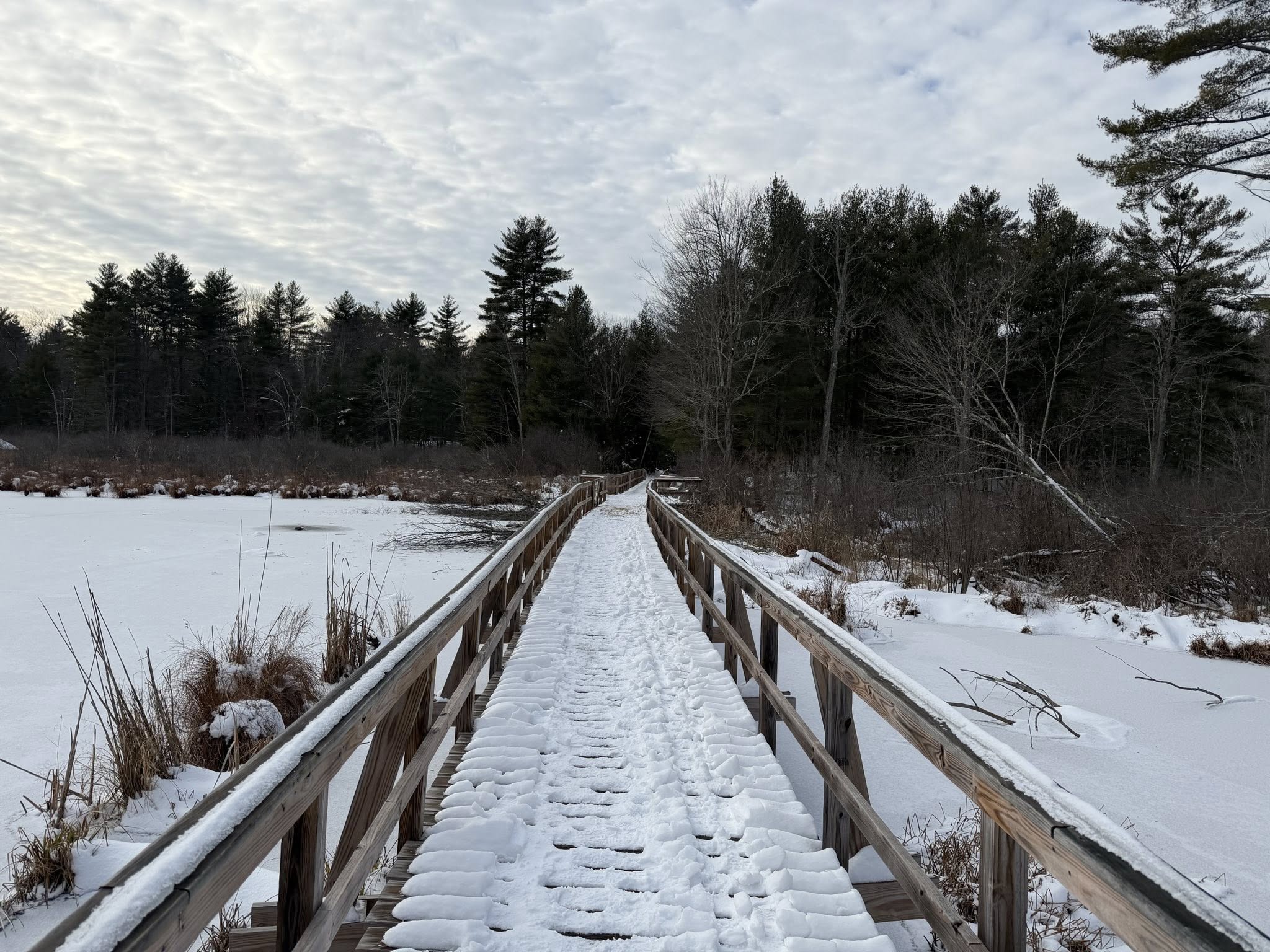 Trail cleanup photo 3