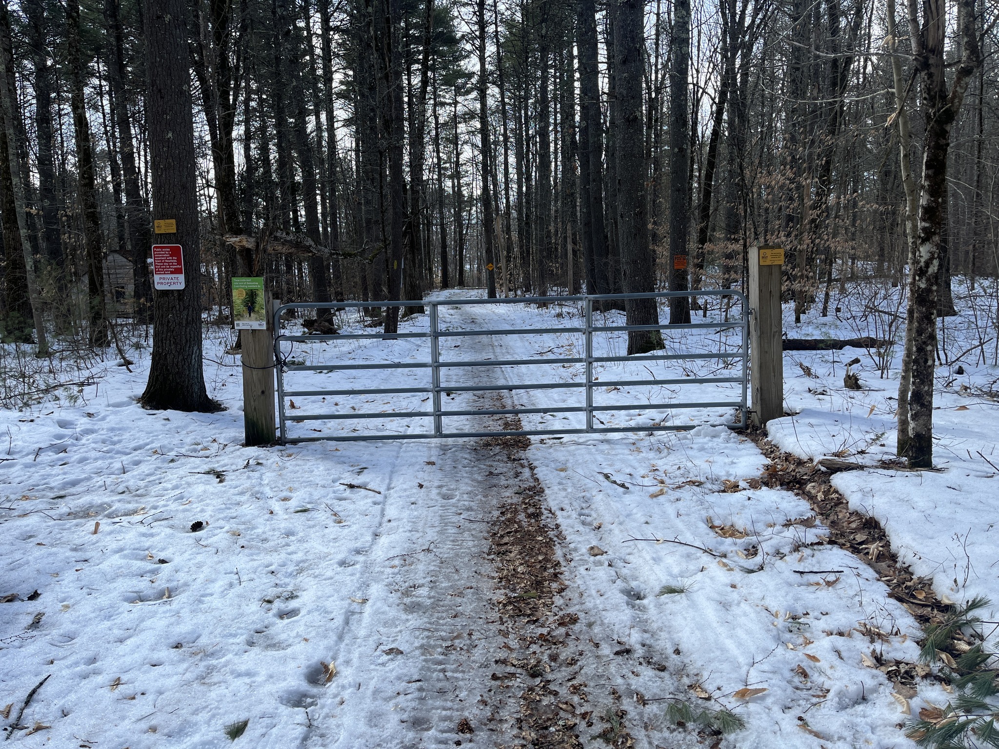 Snowmobile adventures